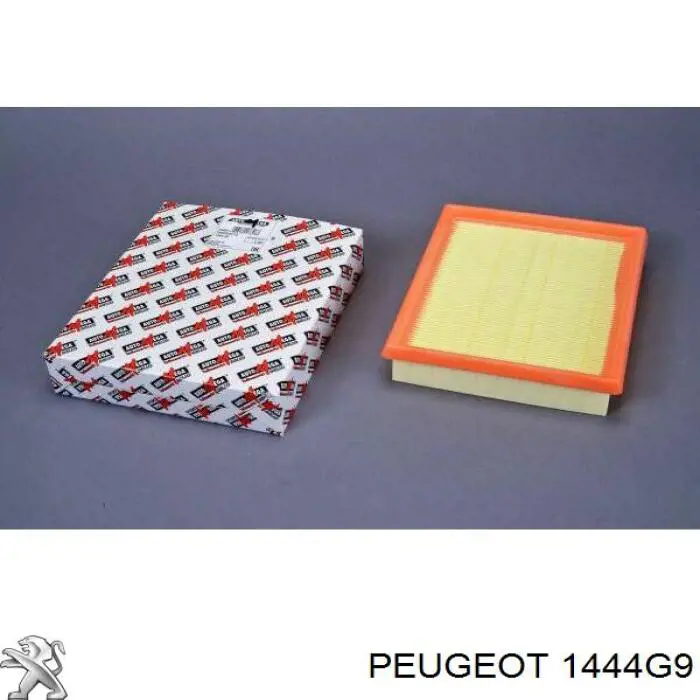 Comprar 1444G9 Peugeot/Citroen Filtro de aire