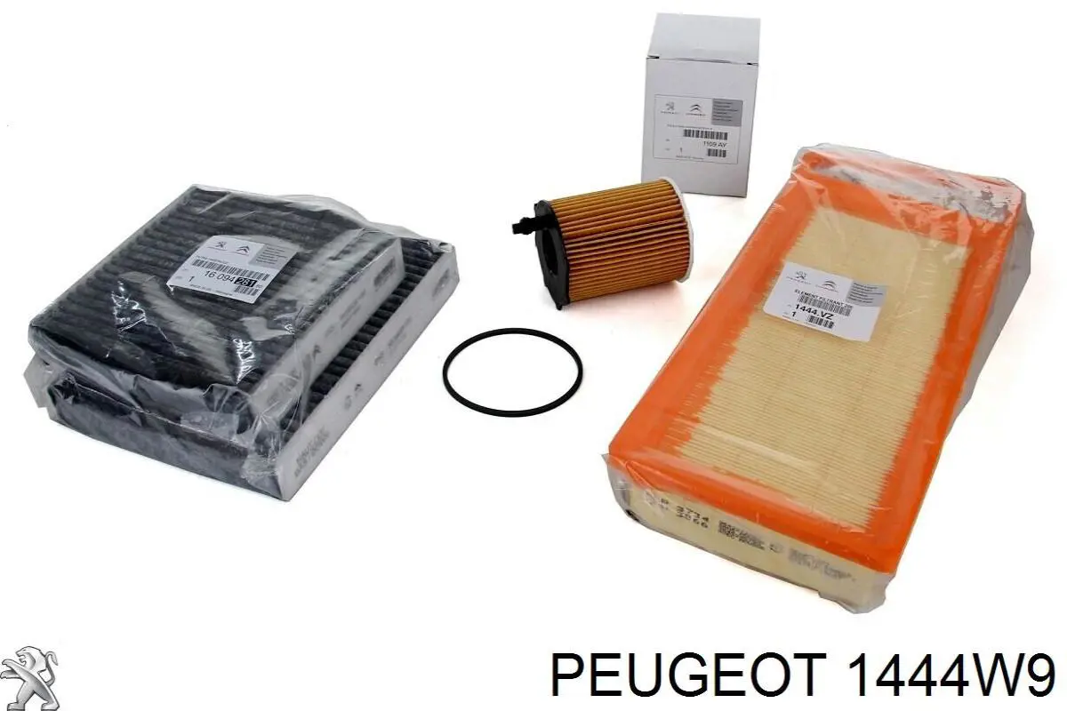 Filtro de aire Ford Fiesta JH, JD