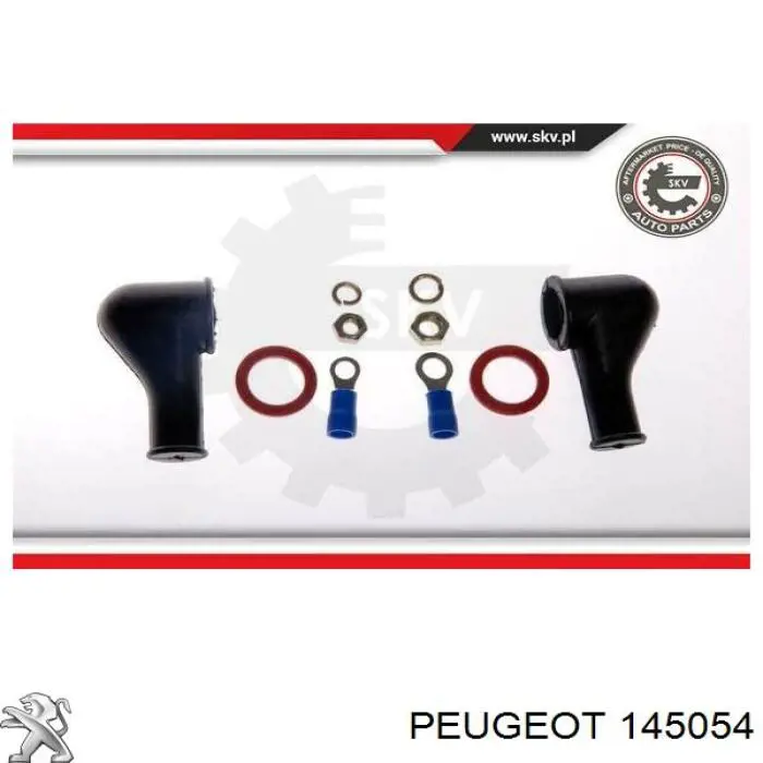 145054 Peugeot/Citroen bomba de combustible principal