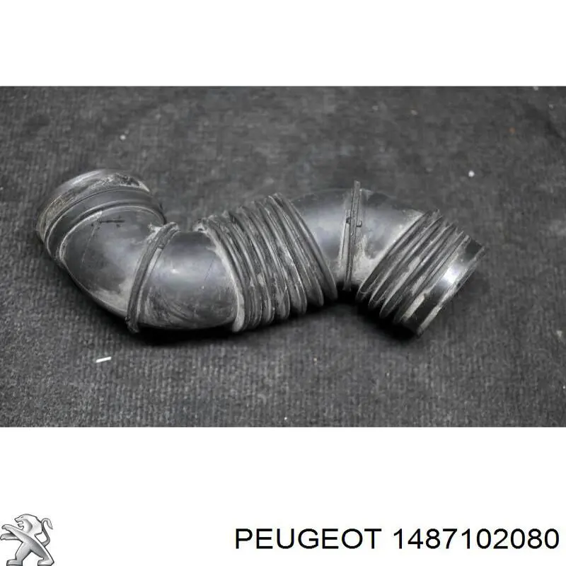 Manguito de aire del medidor de masa de aire Fiat/Alfa/Lancia 1487102080 precio, desde 45,23 EUR