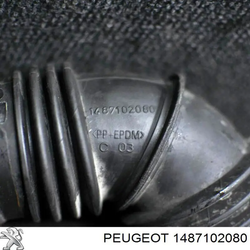 1487102080 Peugeot/Citroen manguito, alimentación de aire