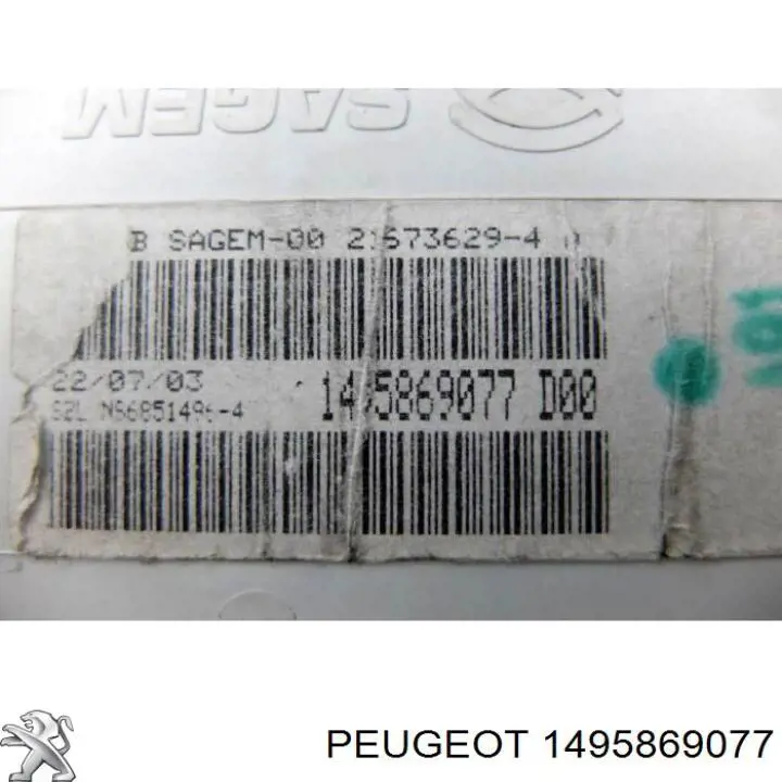 1495869077 Peugeot/Citroen 
