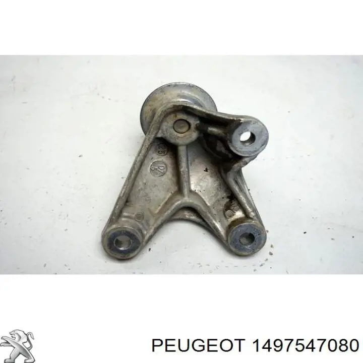 1497547080 Peugeot/Citroen