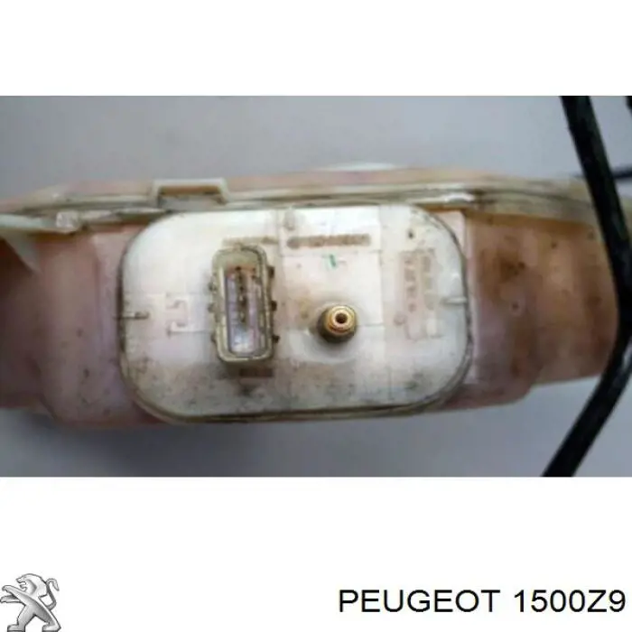 Comprar 1500Z9 Peugeot/Citroen Deposito AdBlue