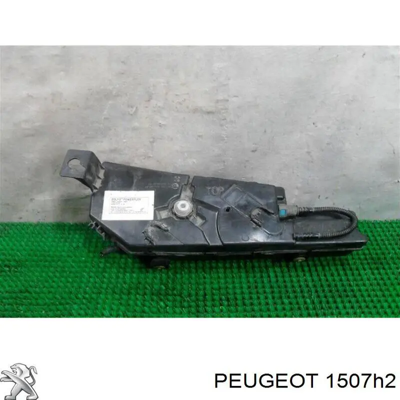 Adsorbente De Vapor De Combustible PEUGEOT 1507H2