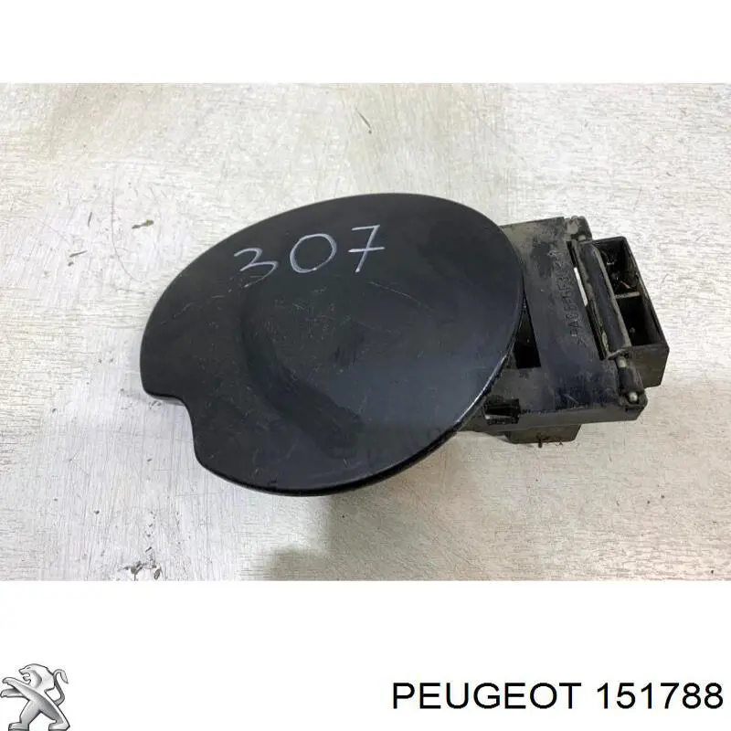 Tapa del depósito de gasolina para Peugeot 307 (3A, 3C)