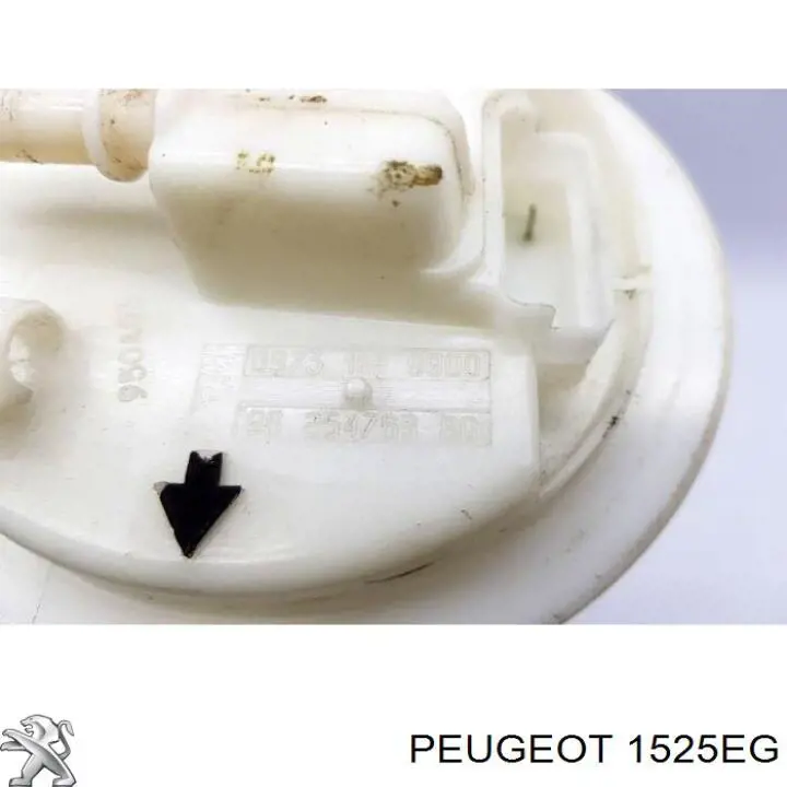 1525EG Peugeot/Citroen módulo alimentación de combustible