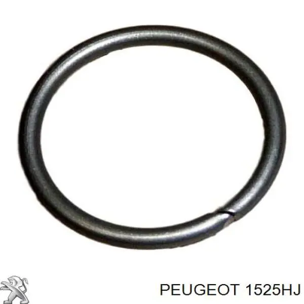 Comprar 1525HJ Peugeot/Citroen Unidad de alimentación de combustible