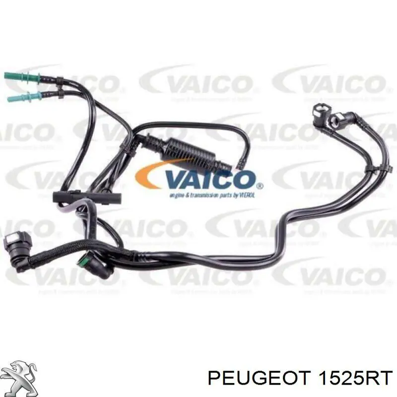 00001525RT Peugeot/Citroen tubo de combustible atras de las boquillas