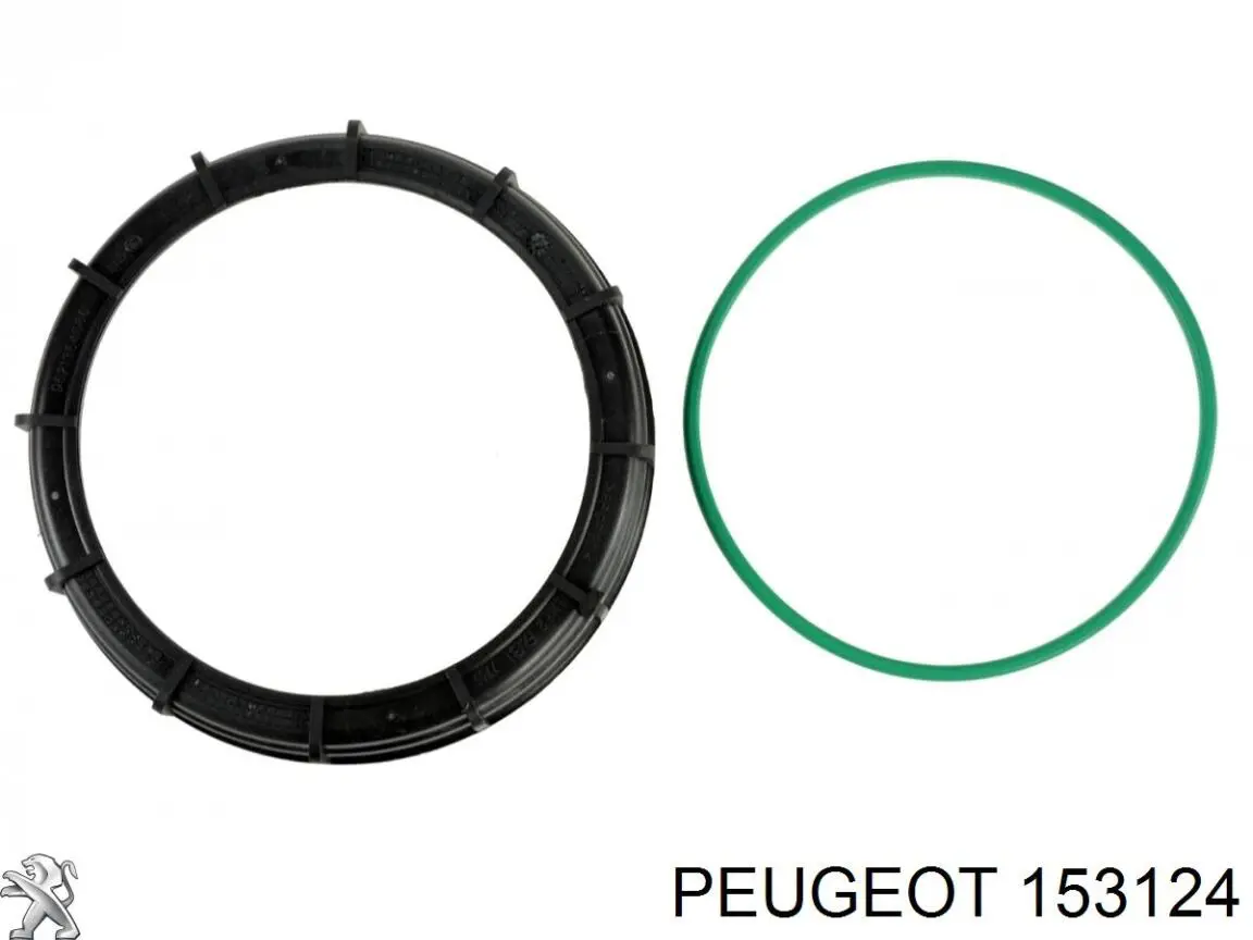 Junta, sensor de nivel de combustible, bomba de combustible (depósito de combustible) para Peugeot 206 (T3E)