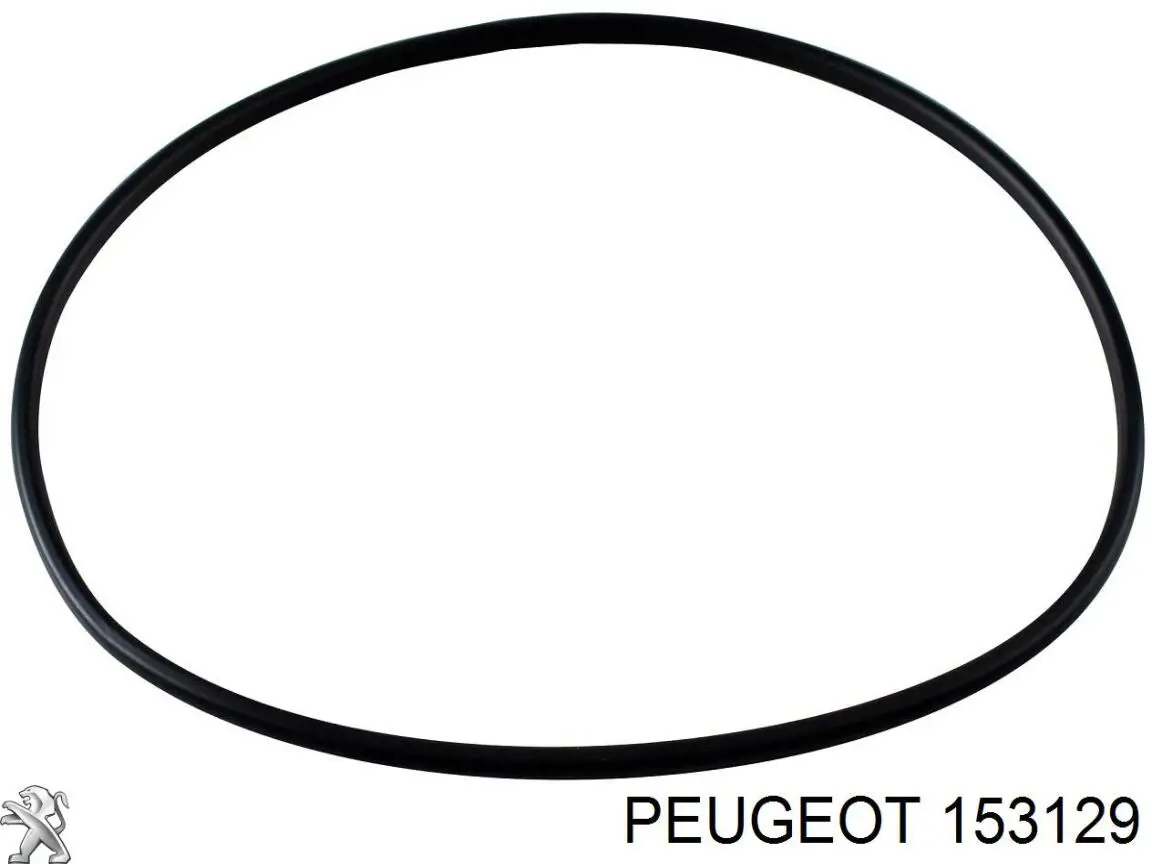 Sello de la bomba de combustible Peugeot/Citroen 153129 precio, desde 7,79 EUR