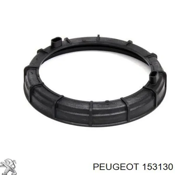 153130 Peugeot/Citroen tapa, bomba de combustible