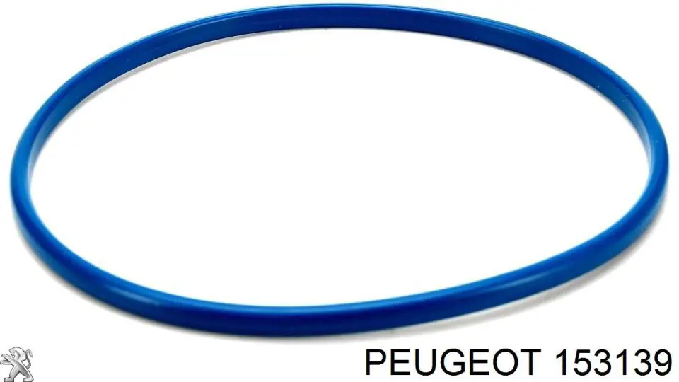 Sello de la bomba de combustible Peugeot/Citroen 153139 precio, desde 20,21 EUR