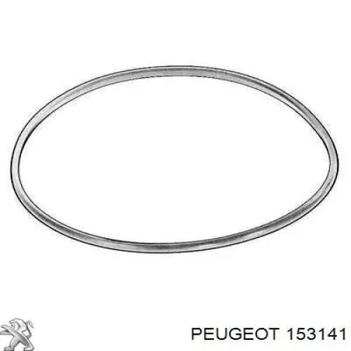 153141 Peugeot/Citroen sello de la bomba de combustible