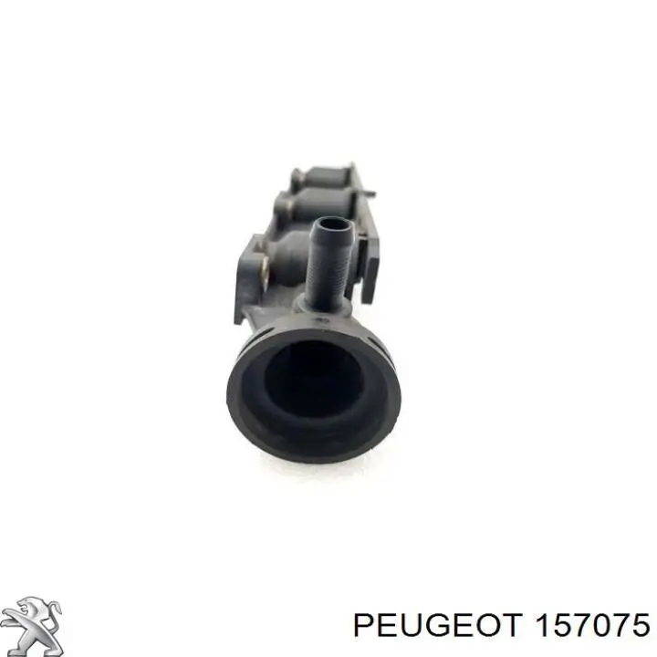 157075 Peugeot/Citroen 