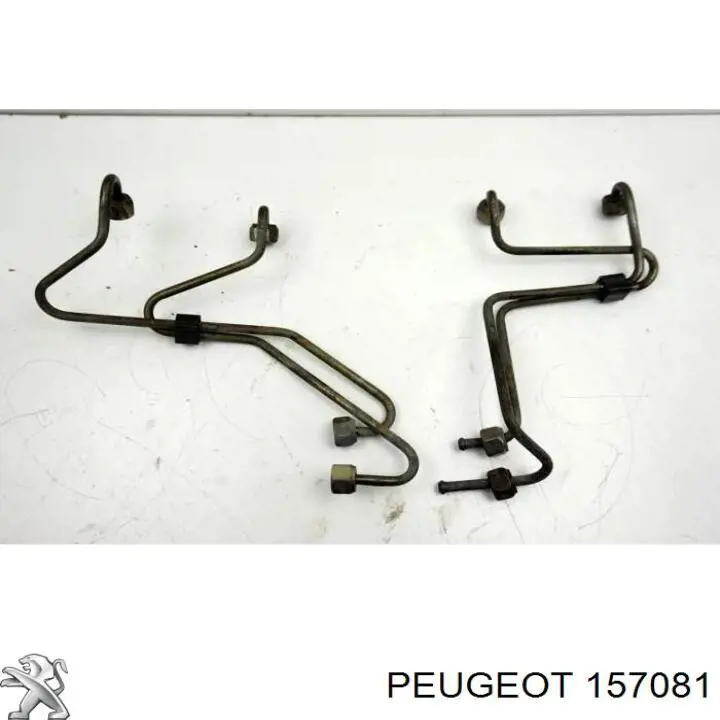 157081 Peugeot/Citroen juego de tuberias para combustibles