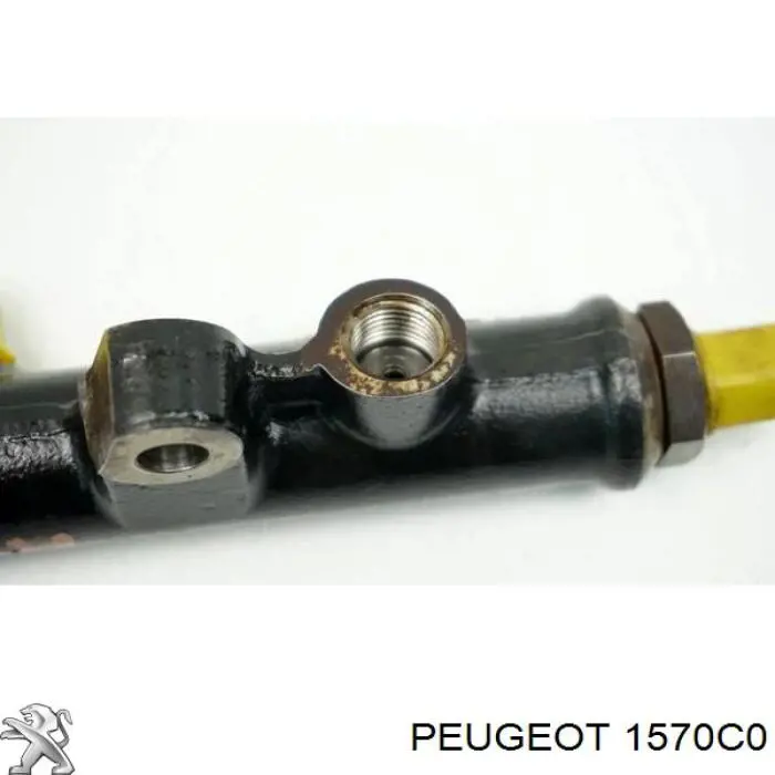 1570C0 Peugeot/Citroen rampa de inyectores