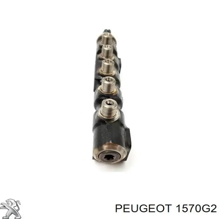 Rampa De Inyección Combustible para Peugeot 407 (6D)