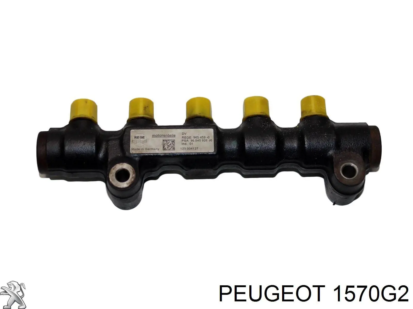 Rampa de combustible Peugeot/Citroen 1570G2 precio, desde 37,75 EUR