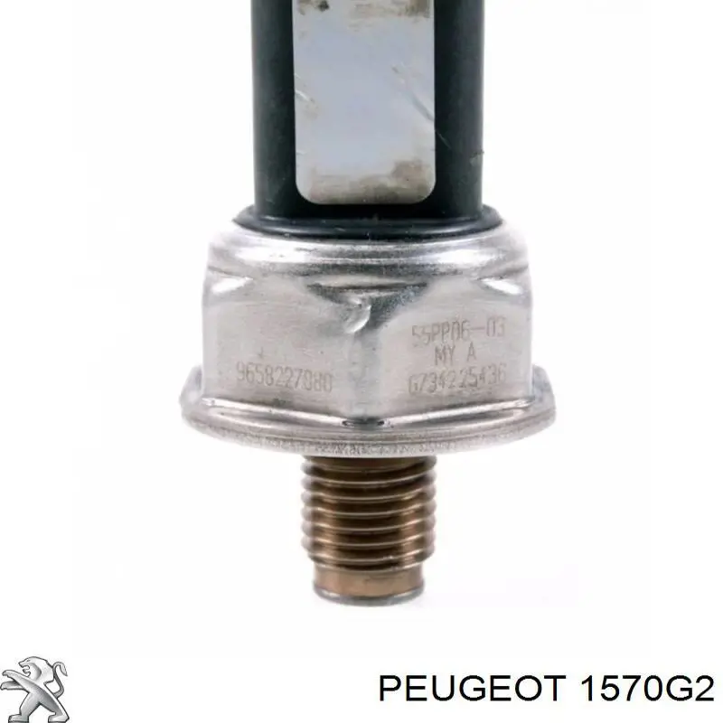Comprar 1570G2 Peugeot/Citroen Rampa de combustible