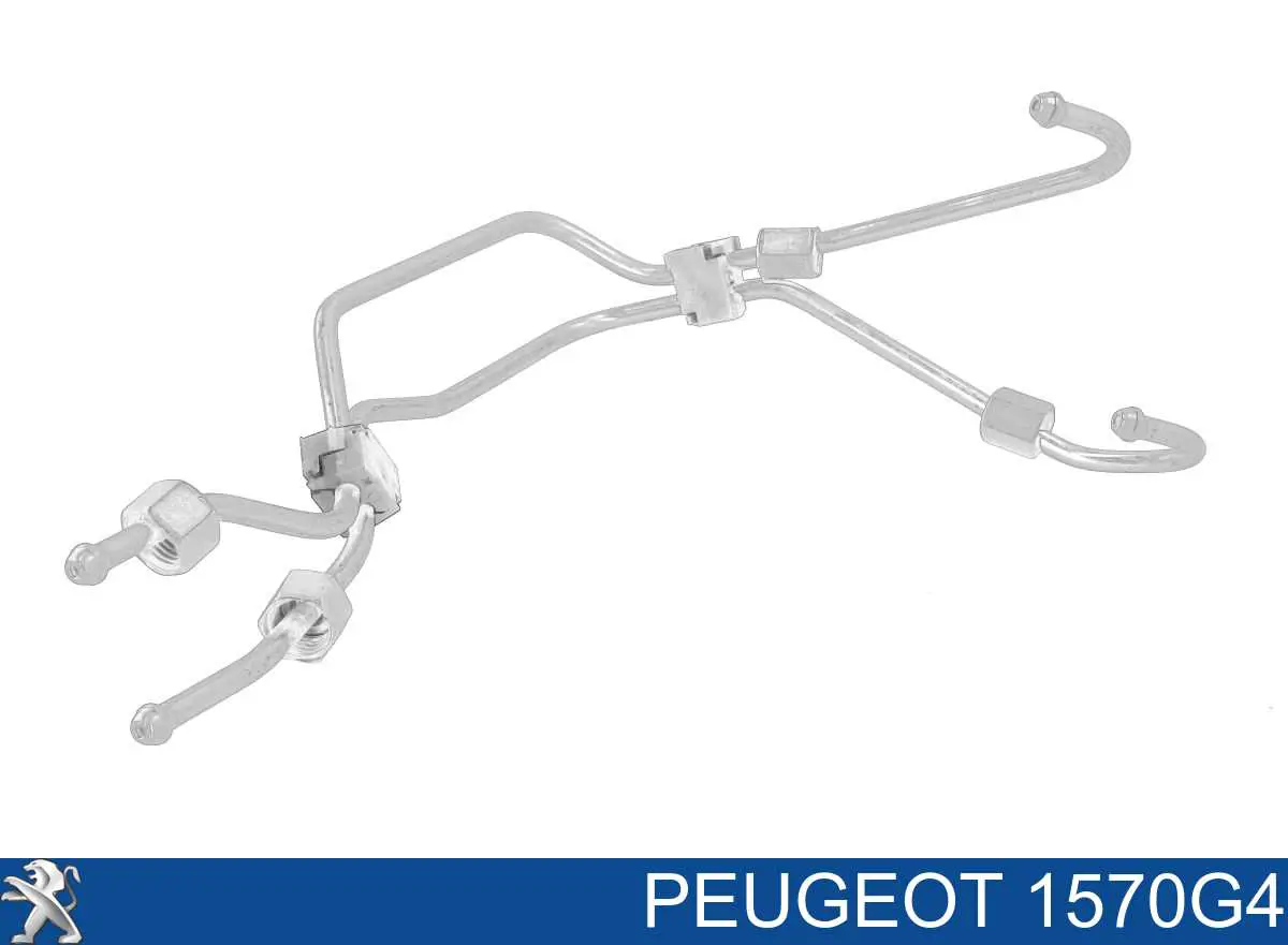 1570G4 Peugeot/Citroen juego de tuberias para combustibles