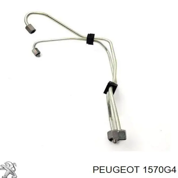 Juego de tuberías de combustible Peugeot/Citroen 1570G4 precio, desde 83,44 EUR