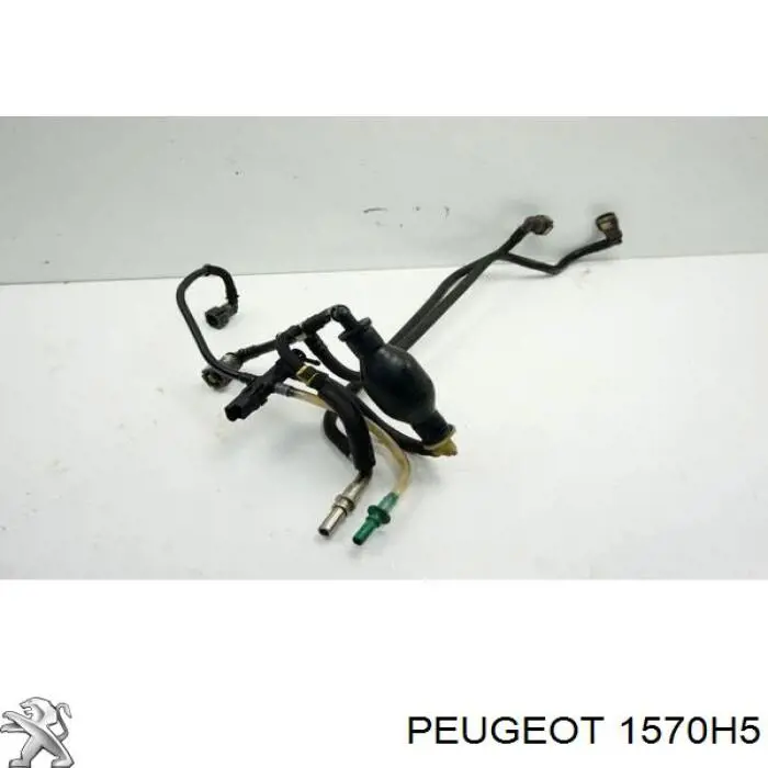 Tubo de combustible de la bomba de alta presión al riel de combustible 1570H5 Peugeot/Citroen