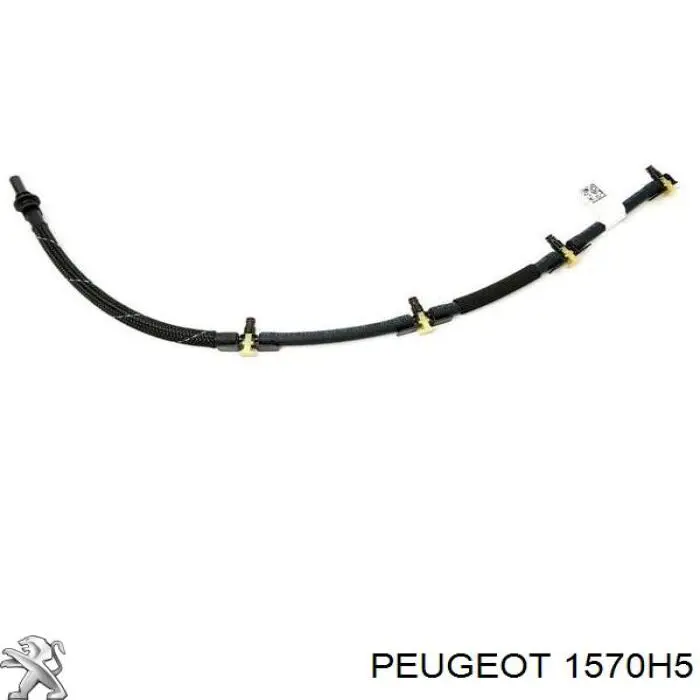 Tubo de combustible de la bomba de alta presión al riel de combustible Peugeot/Citroen 1570H5