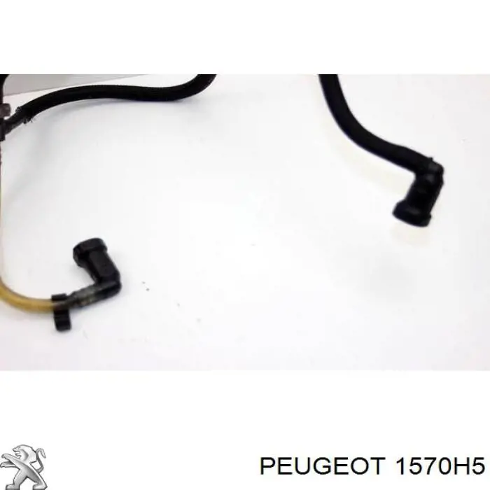 Tubo de combustible de la bomba de alta presión al riel de combustible Peugeot/Citroen 1570H5 precio, desde 25,11 EUR