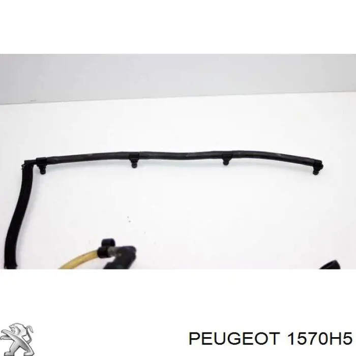Comprar 1570H5 Peugeot/Citroen Tubo de combustible de la bomba de alta presión al riel de combustible