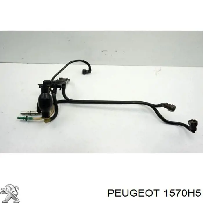 Tubo de combustible de la bomba de alta presión al riel de combustible Peugeot/Citroen 1570H5 precio, desde 25,11 EUR