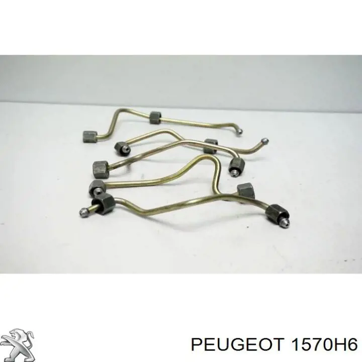 Tubería de combustible, sistema inyección, cilindro 1 Peugeot/Citroen 1570H6 precio, desde 35,50 EUR