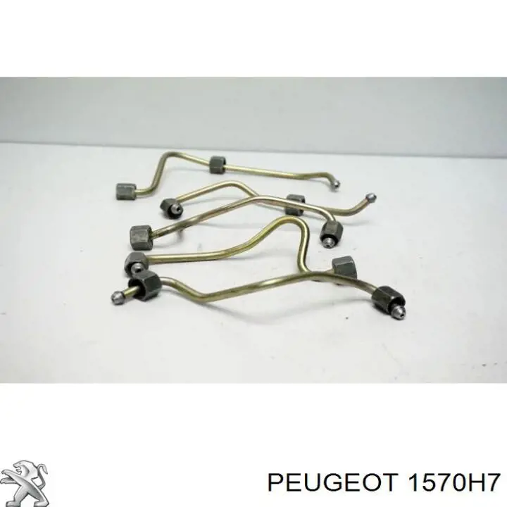 Tubería de combustible, sistema inyección, cilindro 2 Peugeot/Citroen 1570H7 precio, desde 35,79 EUR