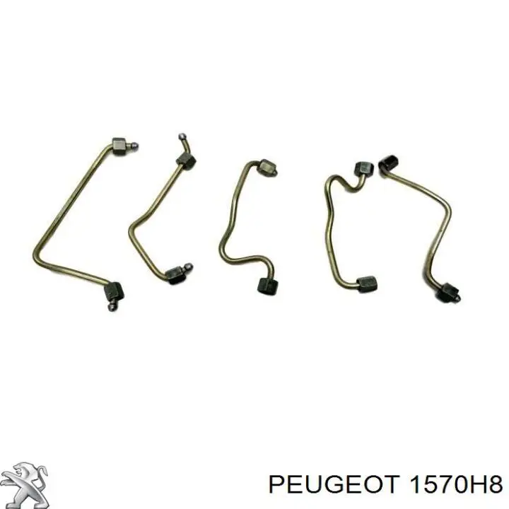 Tubería de combustible, sistema inyección, cilindro 3 Peugeot/Citroen 1570H8 precio, desde 35,99 EUR