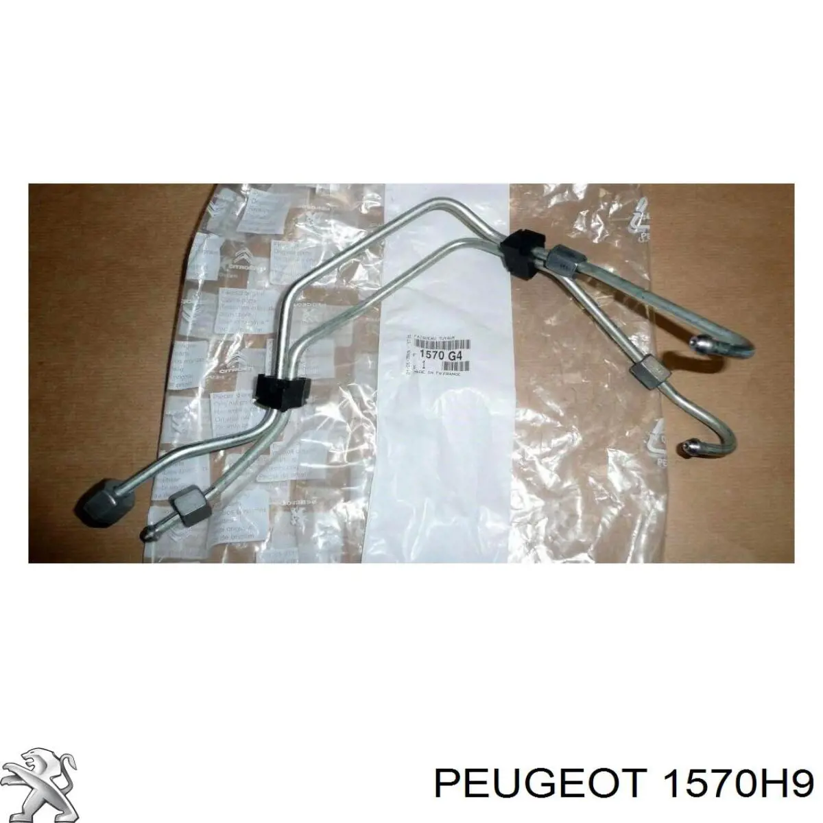 Tubería de combustible, sistema inyección, cilindro 4 Peugeot/Citroen 1570H9 precio, desde 36,36 EUR