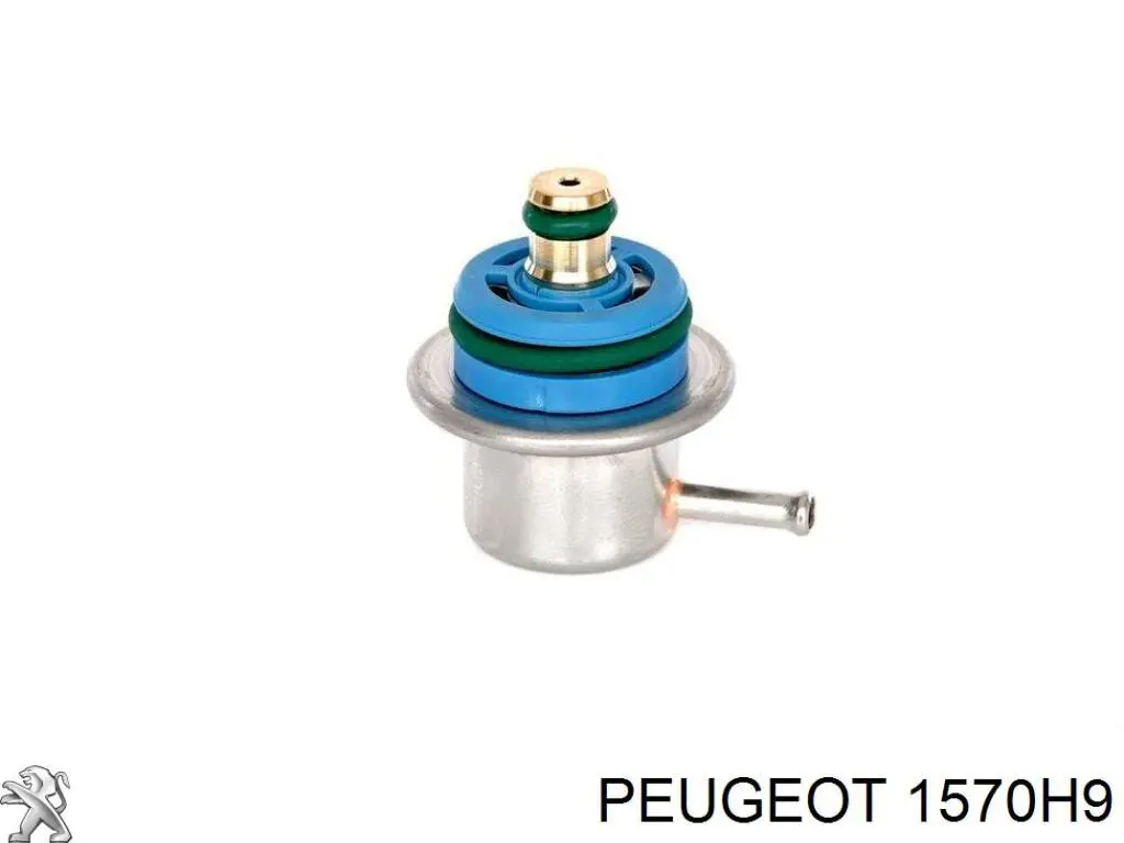 Comprar 1570H9 Peugeot/Citroen Tubería de combustible, sistema inyección, cilindro 4