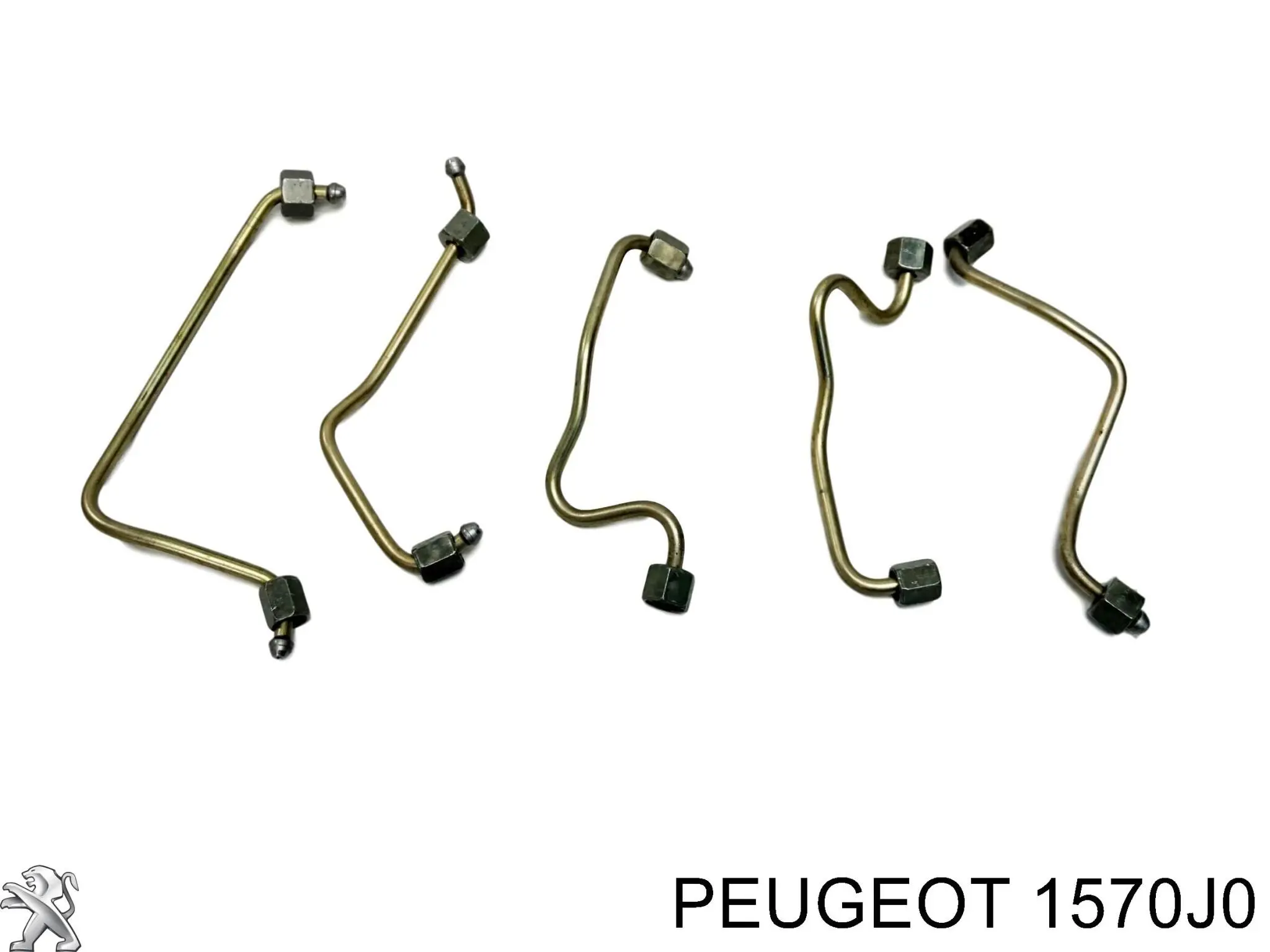 Tubo de combustible de la bomba de alta presión al riel de combustible Peugeot/Citroen 1570J0 precio, desde 38,01 EUR