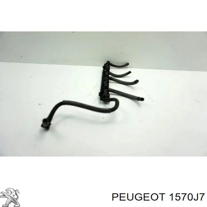 Rampa De Inyección Combustible Peugeot/Citroen 1570J7