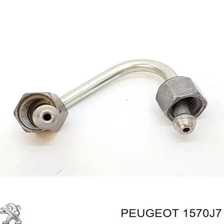 Rampa de combustible Peugeot/Citroen 1570J7 precio, desde 29,18 EUR