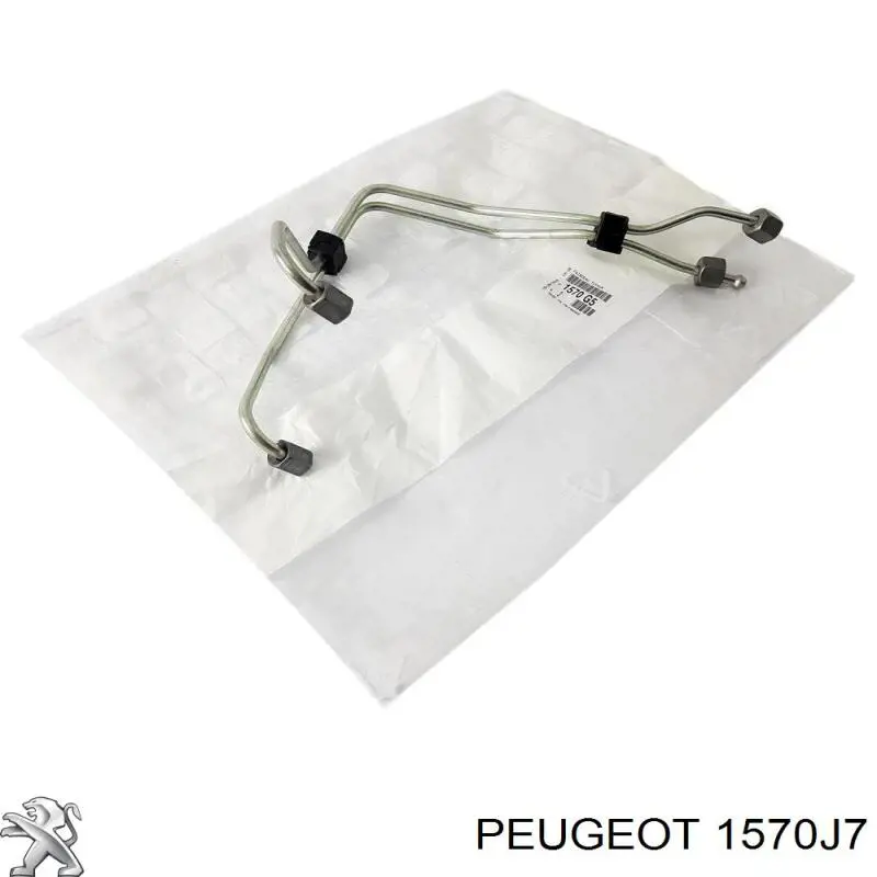 Comprar 3M5Q9D280BC Ford Rampa de combustible