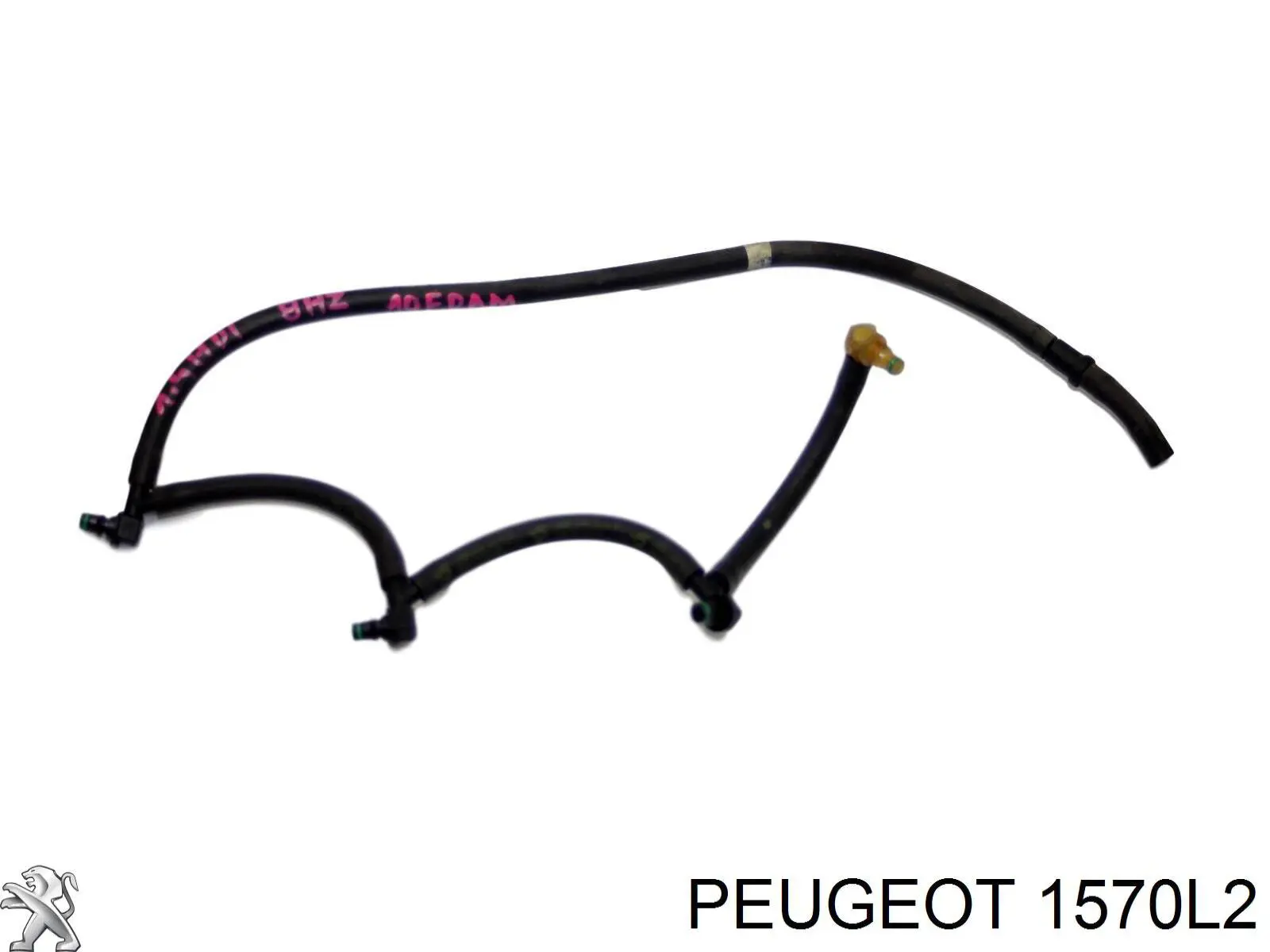 Tubo de combustible de la bomba de alta presión al riel de combustible Fiat/Alfa/Lancia 9659324980 precio, desde 38,11 EUR