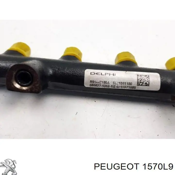 Rampa de combustible Peugeot/Citroen 1570L9 precio, desde 49,37 EUR