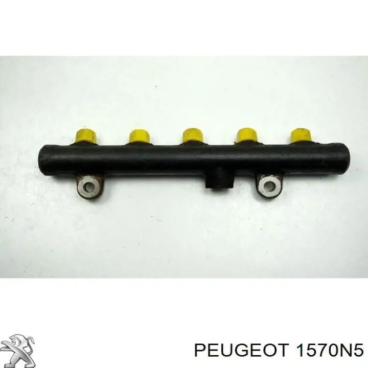 Rampa de combustible Peugeot/Citroen 1570N5 precio, desde 45,01 EUR