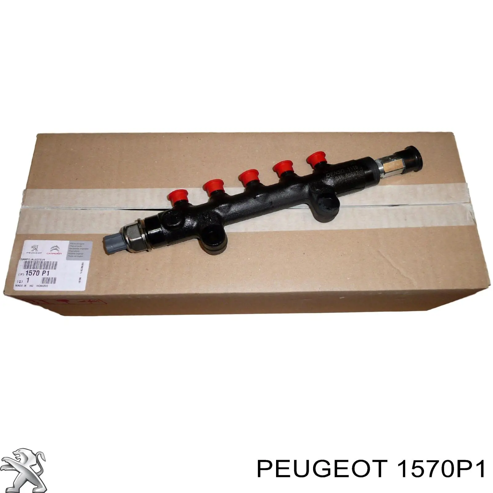 6C1Q9D280BA Peugeot/Citroen rampa de inyectores