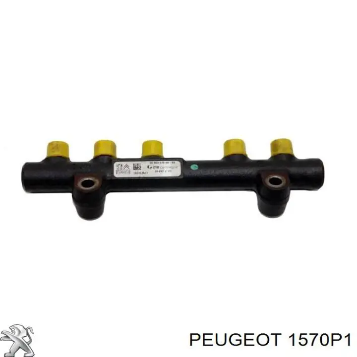 Rampa de combustible Peugeot/Citroen 1570P1 precio, desde 129,23 EUR
