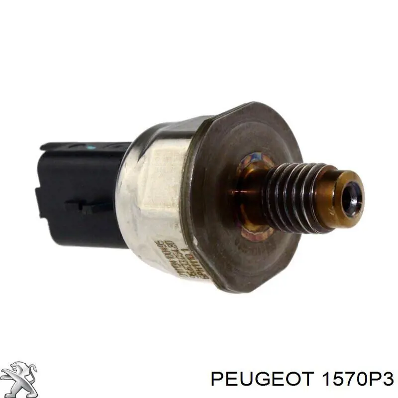 Rampa de combustible Peugeot/Citroen 1570P3 precio, desde 74,05 EUR