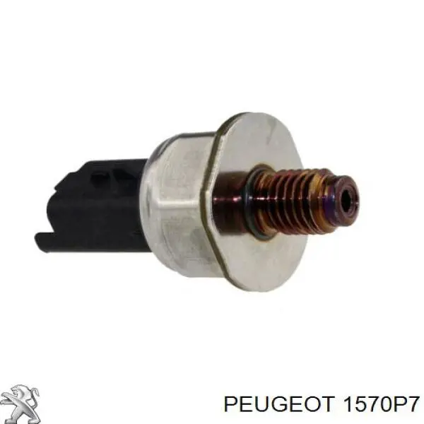 1570P7 Peugeot/Citroen rampa de inyectores