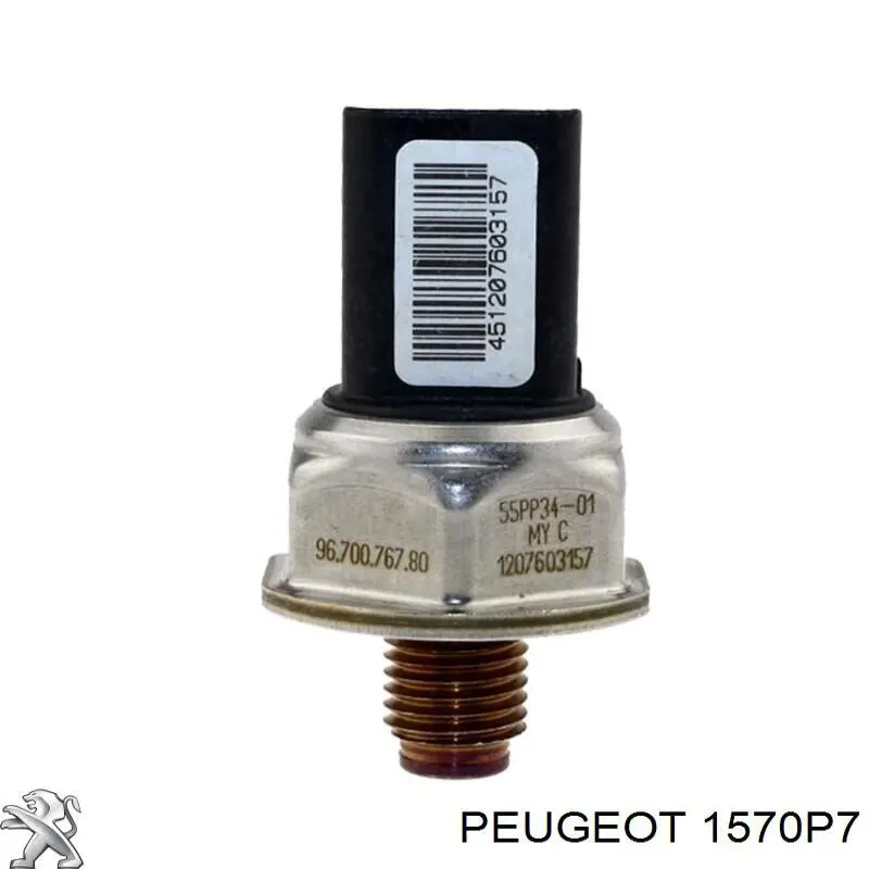 Rampa de combustible Peugeot/Citroen 1570P7 precio, desde 33,40 EUR