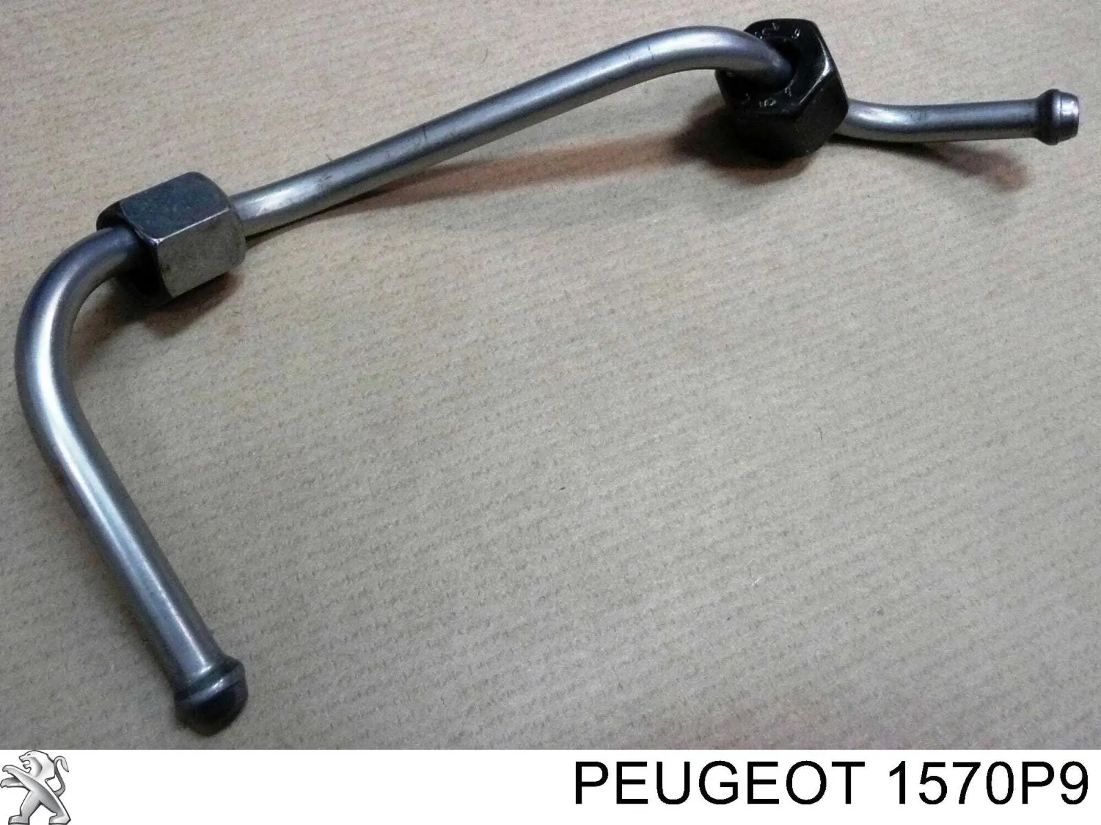 Tubería de combustible, sistema inyección, cilindro 1 Peugeot/Citroen 1570P9 precio, desde 22,76 EUR