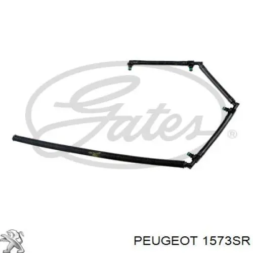 Tubería de retorno de combustible de los inyectores Peugeot/Citroen 1573SR precio, desde 16,00 EUR